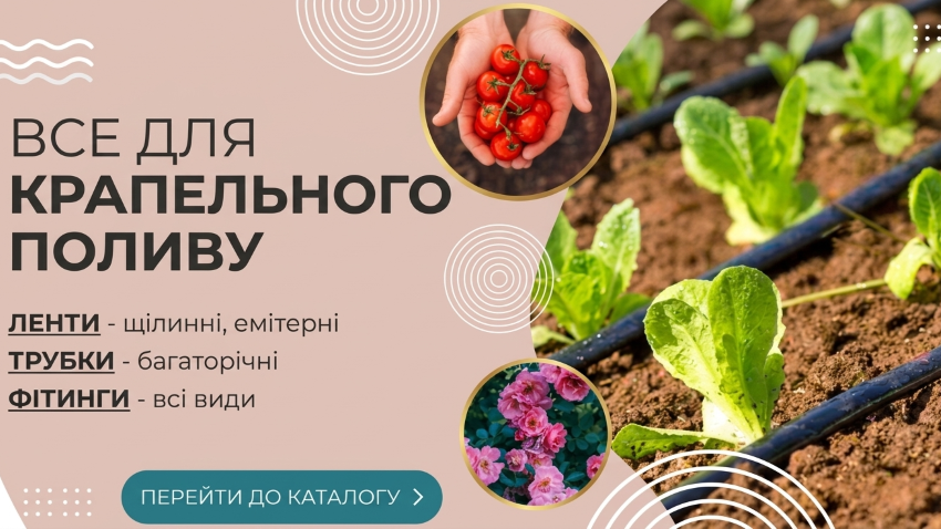 Крапельний полив
